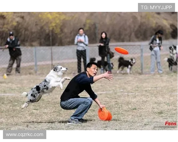 南京飞盘队与西安飞盘队技术对抗赛后分析与战术总结