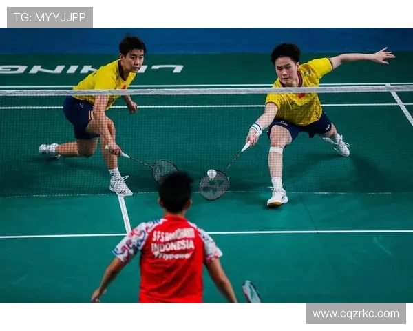 赛后分析南京羽毛球队与武汉羽毛球队的战术意识与表现对比